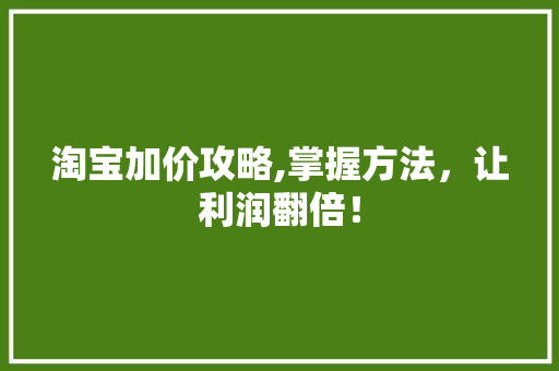 淘宝加价攻略,掌握方法，让利润翻倍！ 电脑配置