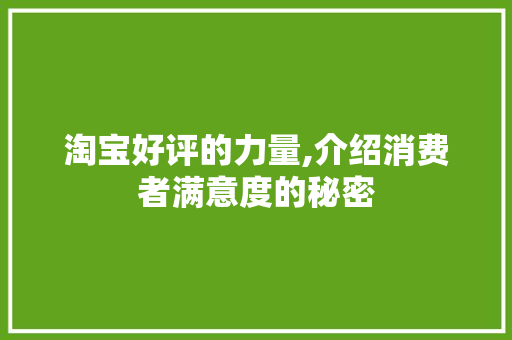 淘宝好评的力量,介绍消费者满意度的秘密 电脑基础