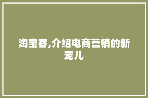 淘宝客,介绍电商营销的新宠儿 编程语言