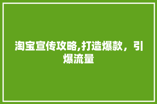 淘宝宣传攻略,打造爆款，引爆流量 电脑故障维修