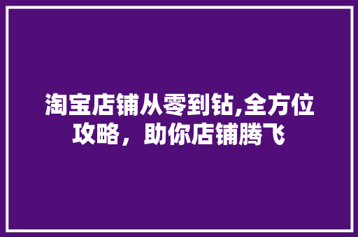 淘宝店铺从零到钻,全方位攻略，助你店铺腾飞 编程语言