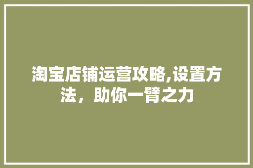 淘宝店铺运营攻略,设置方法，助你一臂之力