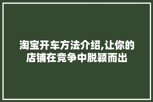 淘宝开车方法介绍,让你的店铺在竞争中脱颖而出