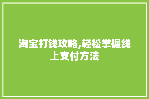 淘宝打钱攻略,轻松掌握线上支付方法 编程语言