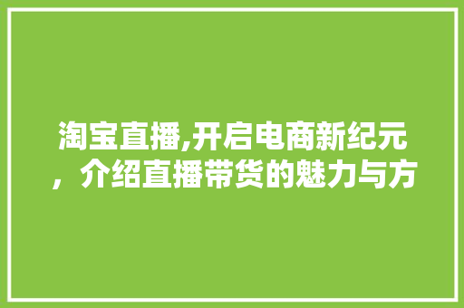 淘宝直播,开启电商新纪元，介绍直播带货的魅力与方法 电脑配置