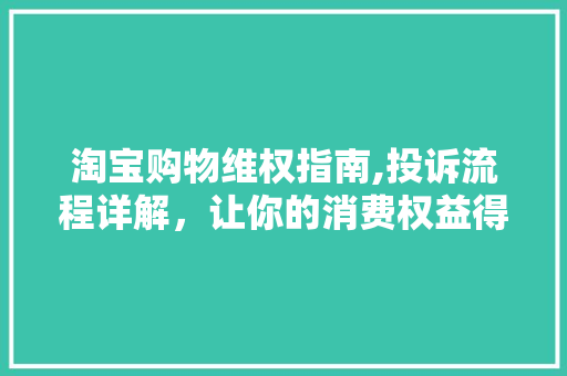 淘宝购物维权指南,投诉流程详解，让你的消费权益得到保障