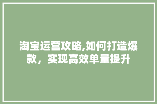 淘宝运营攻略,如何打造爆款，实现高效单量提升