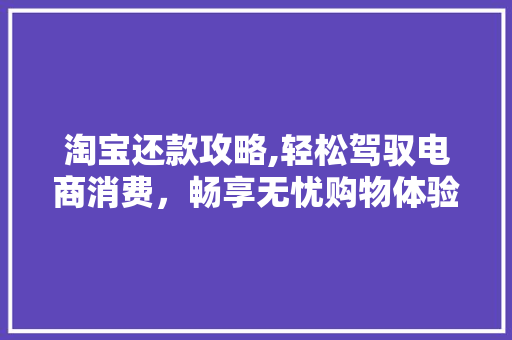 淘宝还款攻略,轻松驾驭电商消费，畅享无忧购物体验