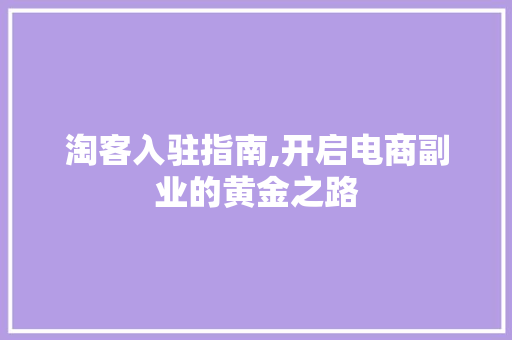 淘客入驻指南,开启电商副业的黄金之路