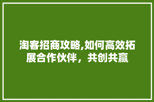 淘客招商攻略,如何高效拓展合作伙伴，共创共赢
