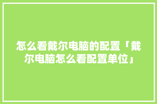 怎么看戴尔电脑的配置「戴尔电脑怎么看配置单位」 怎么看戴尔电脑的配置「戴尔电脑怎么看配置单位」 电脑配置