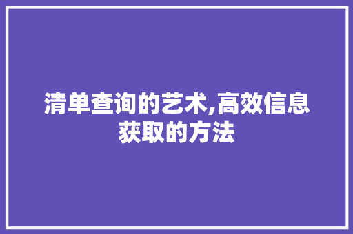 清单查询的艺术,高效信息获取的方法 电脑基础
