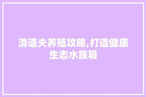 清道夫养殖攻略,打造健康生态水族箱 电脑基础