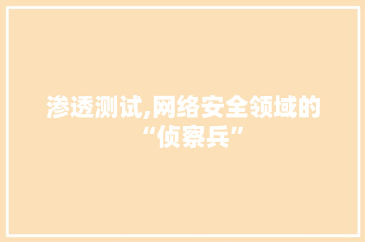 渗透测试,网络安全领域的“侦察兵” 电脑配置