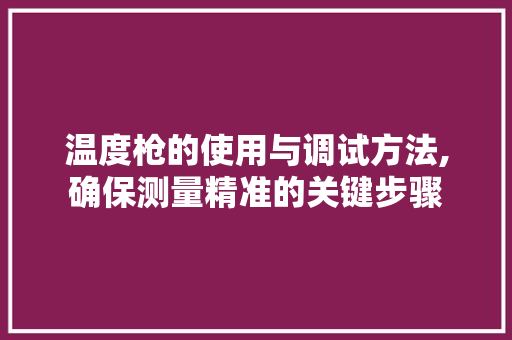 温度枪的使用与调试方法,确保测量精准的关键步骤 电脑配置 温度枪的使用与调试方法,确保测量精准的关键步骤 电脑配置