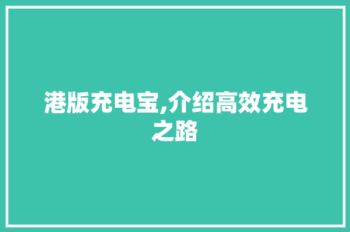 港版充电宝,介绍高效充电之路 网络技术