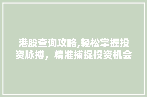 港股查询攻略,轻松掌握投资脉搏，精准捕捉投资机会 操作系统