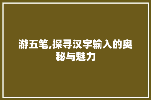 游五笔,探寻汉字输入的奥秘与魅力 电脑基础