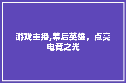 游戏主播,幕后英雄，点亮电竞之光 电脑基础