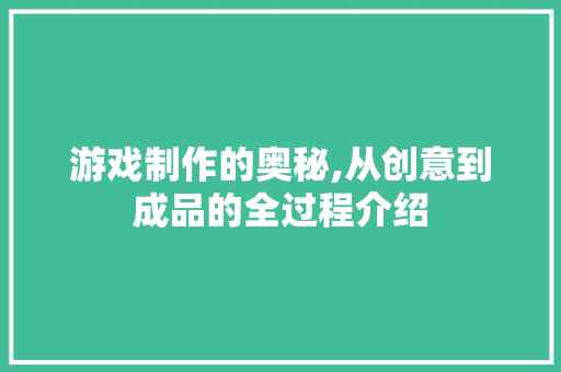 游戏制作的奥秘,从创意到成品的全过程介绍 编程语言