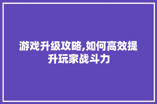 游戏升级攻略,如何高效提升玩家战斗力 电脑故障维修 游戏升级攻略,如何高效提升玩家战斗力 电脑故障维修