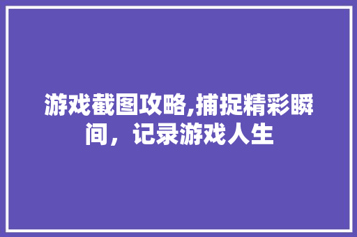 游戏截图攻略,捕捉精彩瞬间，记录游戏人生 网络技术