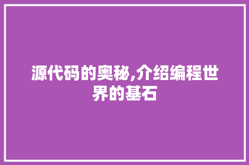 源代码的奥秘,介绍编程世界的基石 网络技术