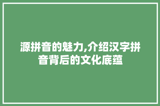 源拼音的魅力,介绍汉字拼音背后的文化底蕴 电脑配置 源拼音的魅力,介绍汉字拼音背后的文化底蕴 电脑配置
