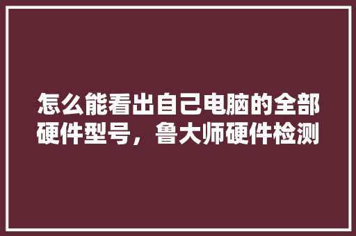 怎么能看出自己电脑的全部硬件型号，鲁大师硬件检测看不到电源型号「电脑怎么看机型配置参数」 怎么能看出自己电脑的全部硬件型号，鲁大师硬件检测看不到电源型号「电脑怎么看机型配置参数」 编程语言
