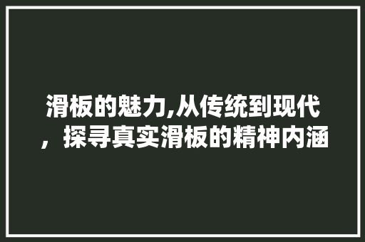 滑板的魅力,从传统到现代，探寻真实滑板的精神内涵 网络技术