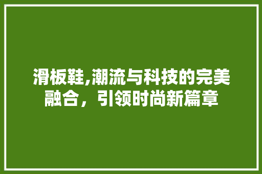 滑板鞋,潮流与科技的完美融合，引领时尚新篇章 操作系统