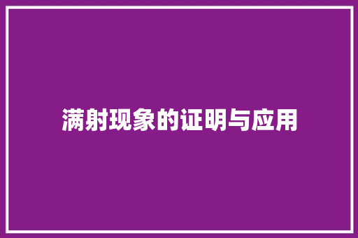 满射现象的证明与应用 编程语言