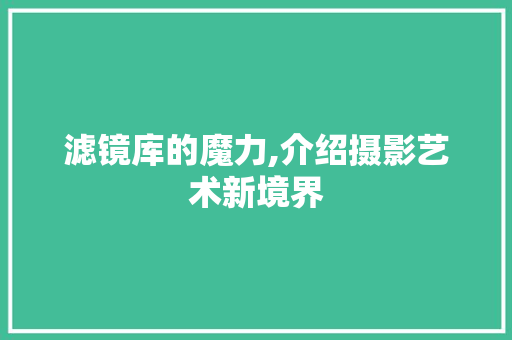 滤镜库的魔力,介绍摄影艺术新境界 编程语言