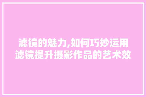 滤镜的魅力,如何巧妙运用滤镜提升摄影作品的艺术效果 电脑配置