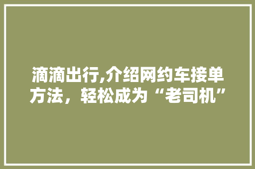 滴滴出行,介绍网约车接单方法,轻松成为“老司机” 编程语言 滴滴出行,介绍网约车接单方法,轻松成为“老司机” 编程语言