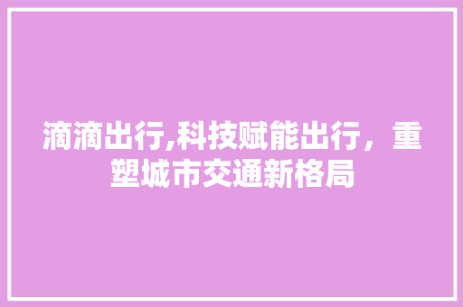 滴滴出行,科技赋能出行，重塑城市交通新格局 操作系统