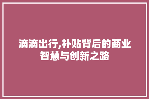 滴滴出行,补贴背后的商业智慧与创新之路 操作系统
