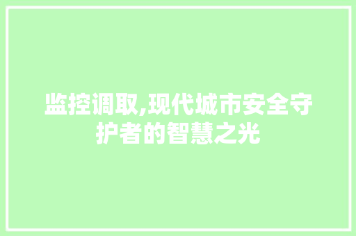 监控调取,现代城市安全守护者的智慧之光