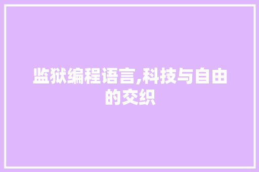 监狱编程语言,科技与自由的交织