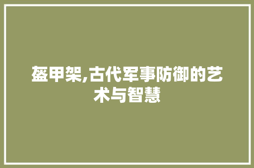 盔甲架,古代军事防御的艺术与智慧