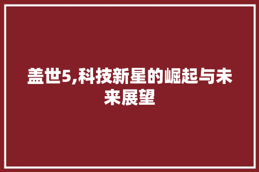 盖世5,科技新星的崛起与未来展望