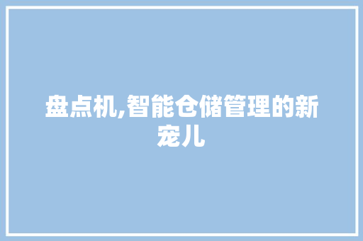 盘点机,智能仓储管理的新宠儿