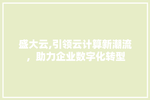 盛大云,引领云计算新潮流,助力企业数字化转型 盛大云,引领云计算新潮流,助力企业数字化转型