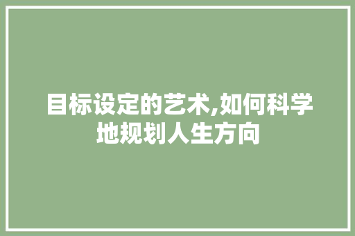 目标设定的艺术,如何科学地规划人生方向