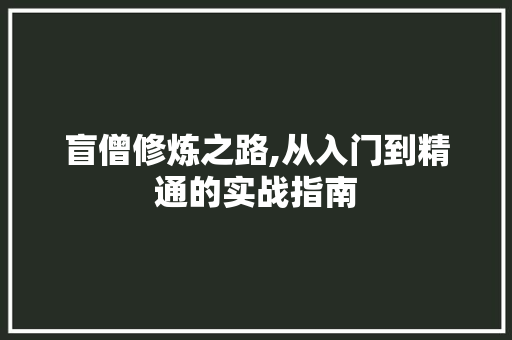 盲僧修炼之路,从入门到精通的实战指南