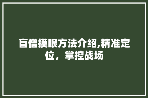 盲僧摸眼方法介绍,精准定位，掌控战场