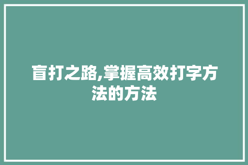 盲打之路,掌握高效打字方法的方法