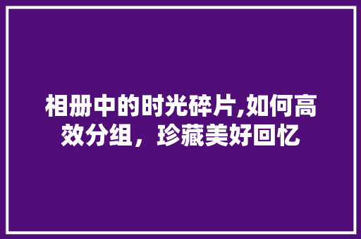 相册中的时光碎片,如何高效分组，珍藏美好回忆