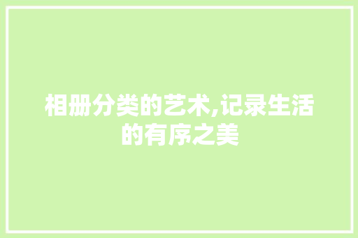 相册分类的艺术,记录生活的有序之美