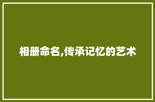 相册命名,传承记忆的艺术
